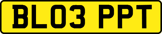 BL03PPT