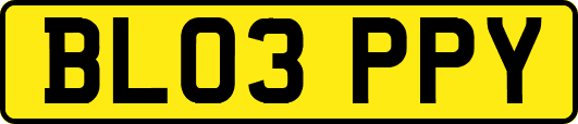 BL03PPY