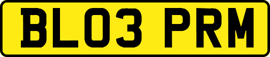 BL03PRM