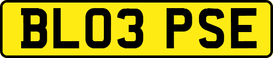 BL03PSE