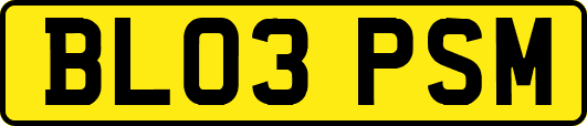 BL03PSM
