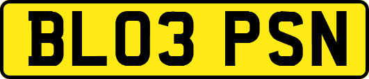 BL03PSN