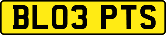 BL03PTS