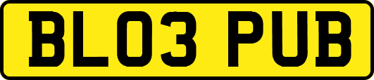 BL03PUB