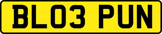 BL03PUN