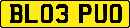 BL03PUO