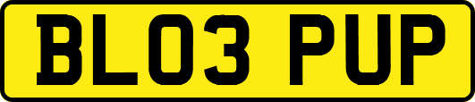 BL03PUP