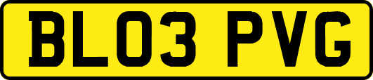 BL03PVG