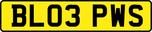 BL03PWS