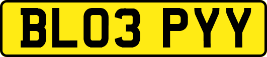 BL03PYY