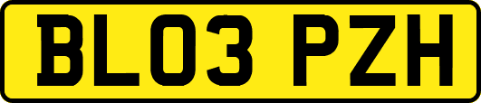 BL03PZH