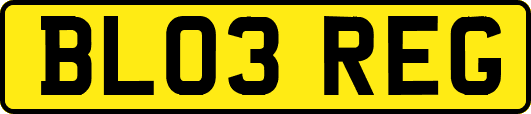 BL03REG