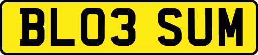 BL03SUM