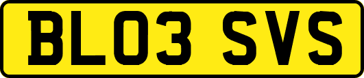 BL03SVS