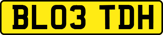 BL03TDH