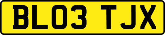 BL03TJX