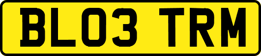 BL03TRM