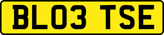 BL03TSE