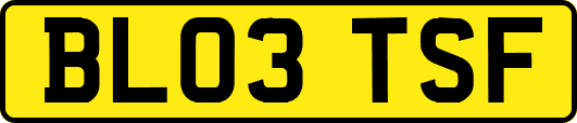 BL03TSF