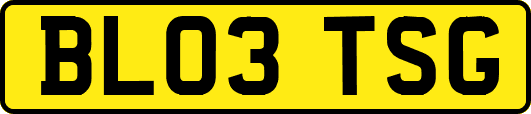 BL03TSG