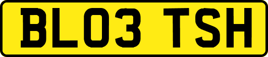 BL03TSH