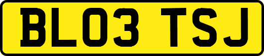 BL03TSJ