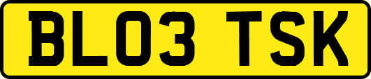 BL03TSK