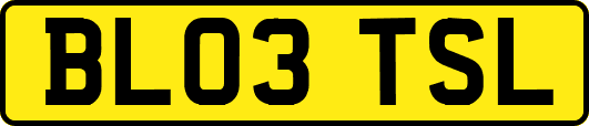 BL03TSL