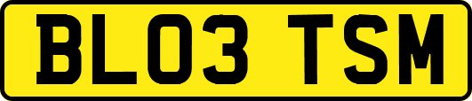 BL03TSM