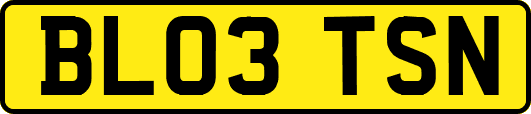 BL03TSN