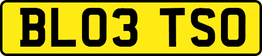 BL03TSO