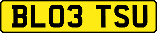 BL03TSU