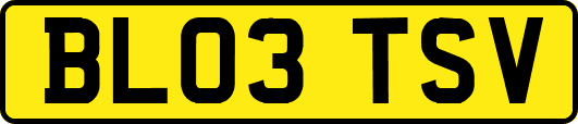 BL03TSV