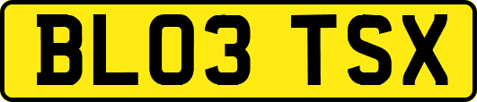 BL03TSX