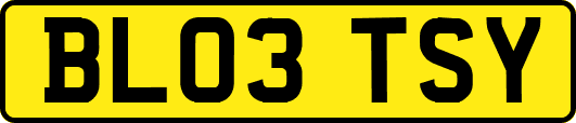 BL03TSY