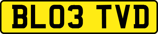 BL03TVD