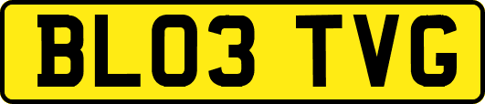 BL03TVG