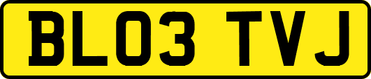 BL03TVJ