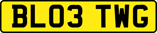 BL03TWG