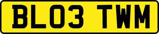 BL03TWM