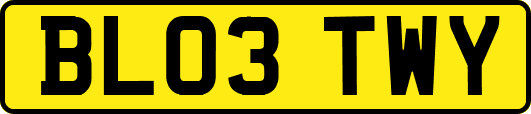 BL03TWY