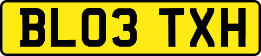 BL03TXH