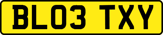 BL03TXY