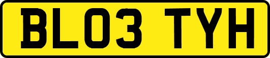 BL03TYH