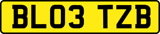 BL03TZB