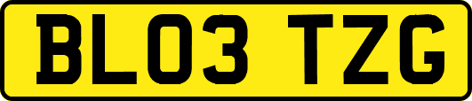 BL03TZG