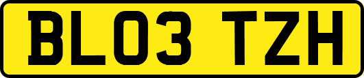 BL03TZH