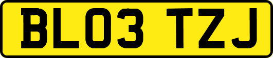 BL03TZJ