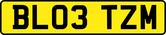 BL03TZM