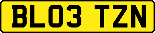 BL03TZN